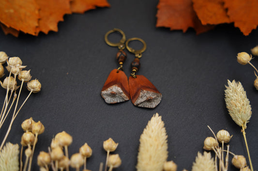 Boho-Ohrringe aus Kiefernzapfen-Schuppen mit Dzi Perle und Muscheldisks