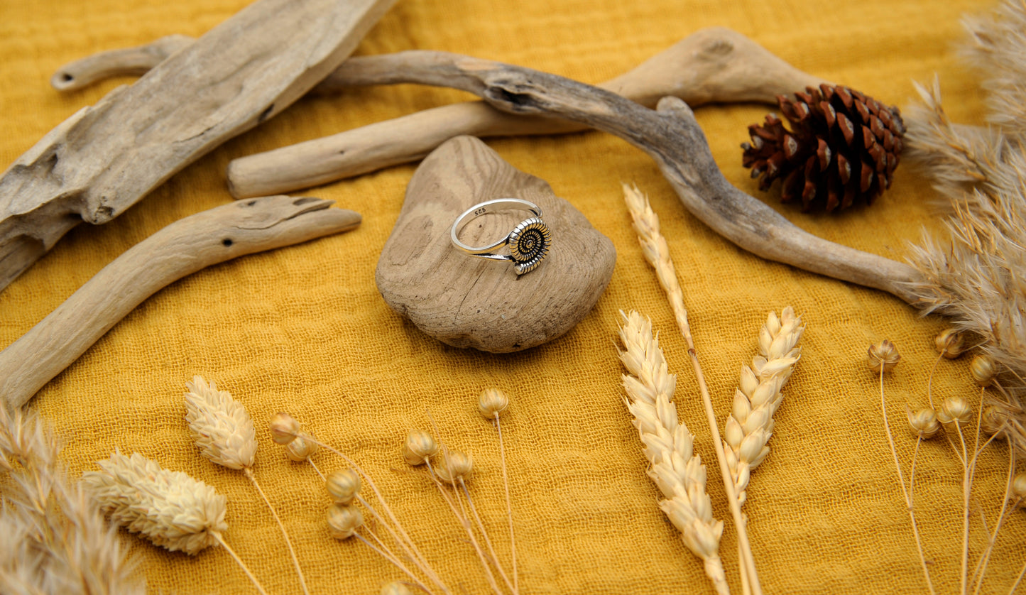 Silberring Ammonit-Design – 925 Sterling Silber