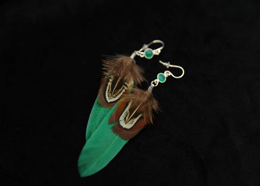 Grüne Federohrringe aus natürlichen Phasan Federn | Amazonit in 925 Silber | Ohrring mit Feder | Braunblauer Federschmuck