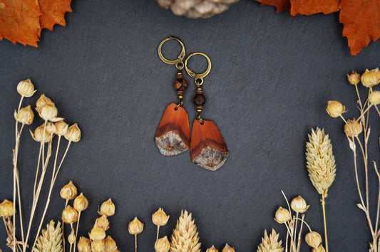Boho-Ohrringe aus Kiefernzapfen-Schuppen mit Dzi Perle und Muscheldisks