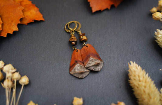 Boho-Ohrringe aus Kiefernzapfen mit Tigerauge & Muschelperle