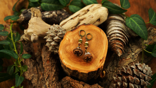 Handgemachte Eukalyptus-Zapfen-Ohrringe mit Keramik-Discs