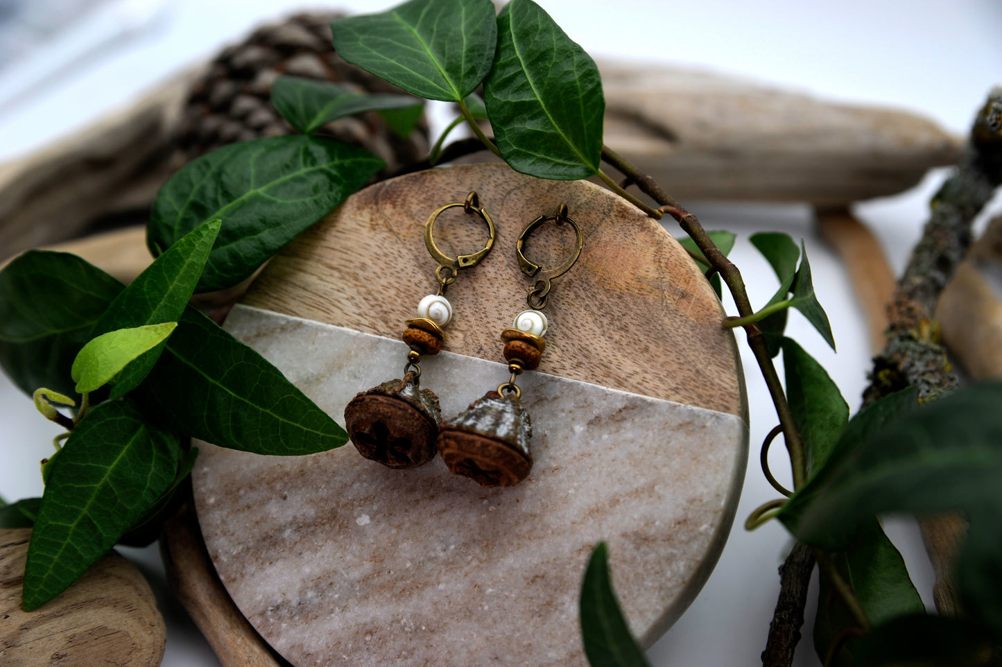 Eukalyptus Zapfen Ohrringe mit Muschelperle