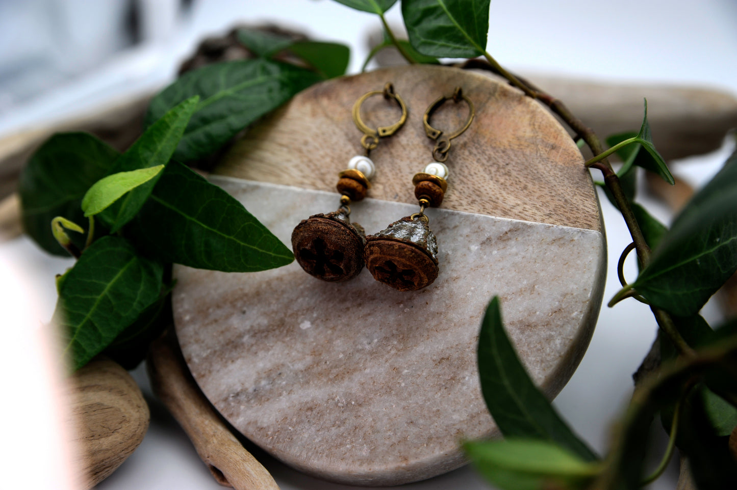 Eukalyptus Zapfen Ohrringe mit Muschelperle