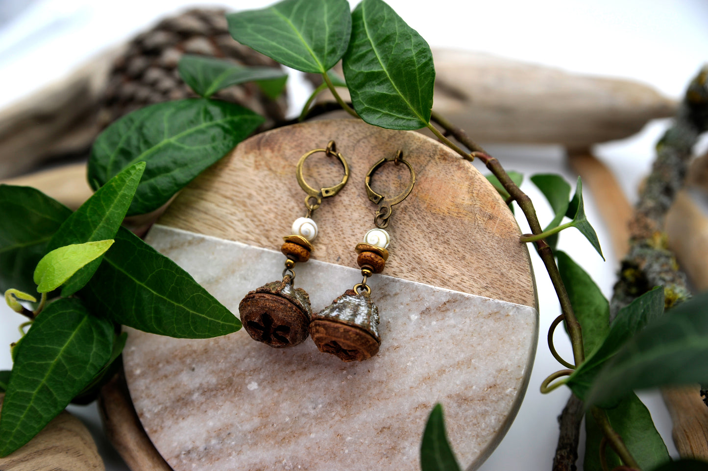 Eukalyptus Zapfen Ohrringe mit Muschelperle