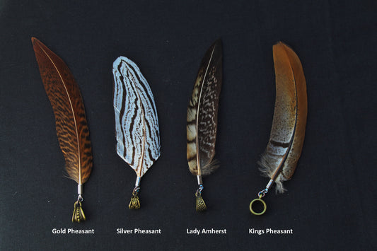 Dreadlock Feather Pendant Made from Pheasant Feathers – 4 Pheasant Species, Ring Selectable
