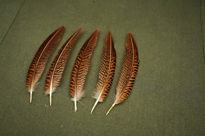 Goldfasan Federn zur Dekoration – Ansicht 5