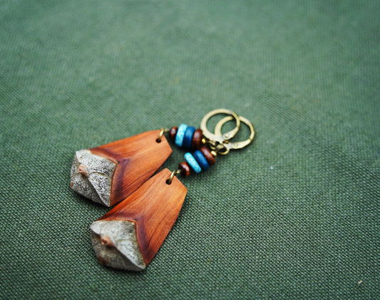 Pine Cone Scale Earrings with Turquoise and Black Beads – Wooden Jewellery