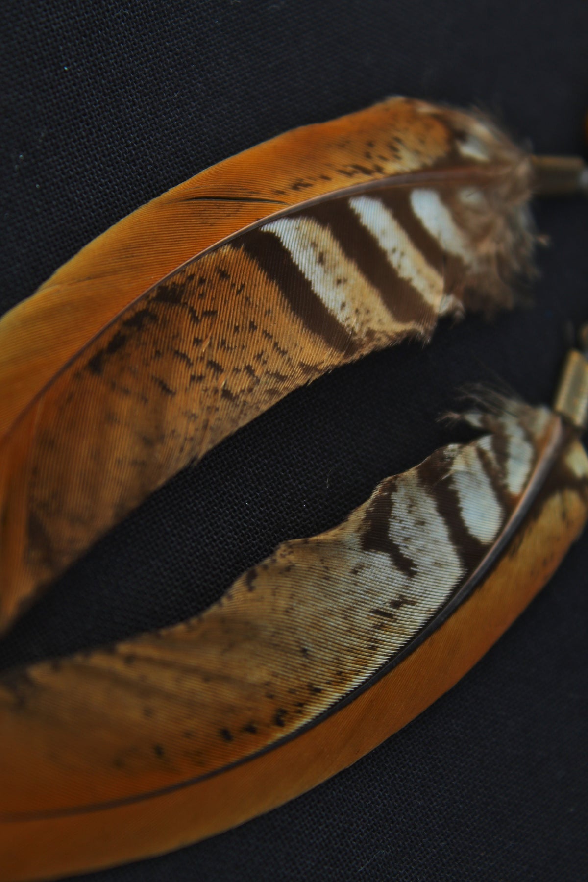 Reeves's Pheasant Feather Earrings with Tiger's Eye & Jasper – Orange-Yellow, 8–10 cm – view 6