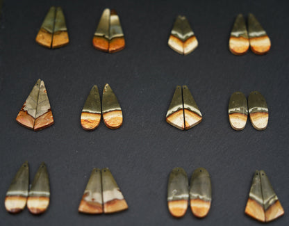 Symmetrische Steinpaare aus Polychrom Jaspis für Ohrringe auf schwarzem Grund